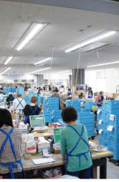 CÔNG TY CỔ PHẦN XNK & CUNG ỨNG NHÂN LỰC NHẬT QUANG NIKKO JSC
